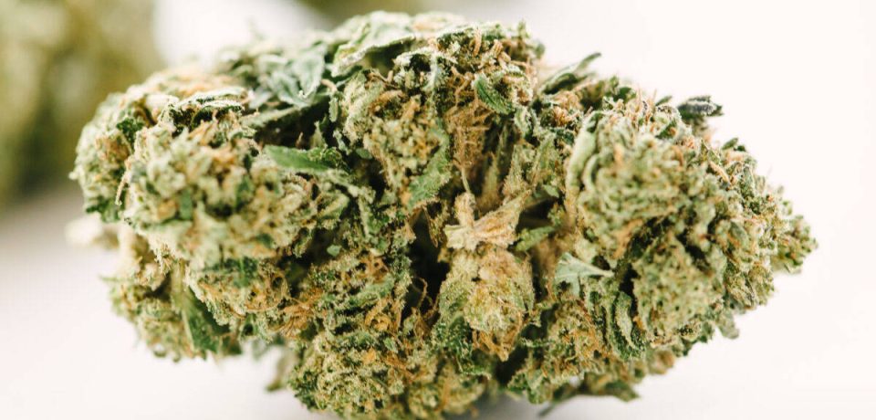 How To Pick Delta 8 Flower For You
