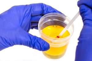 How to Evaluate and Compare Fake Pee Brands?